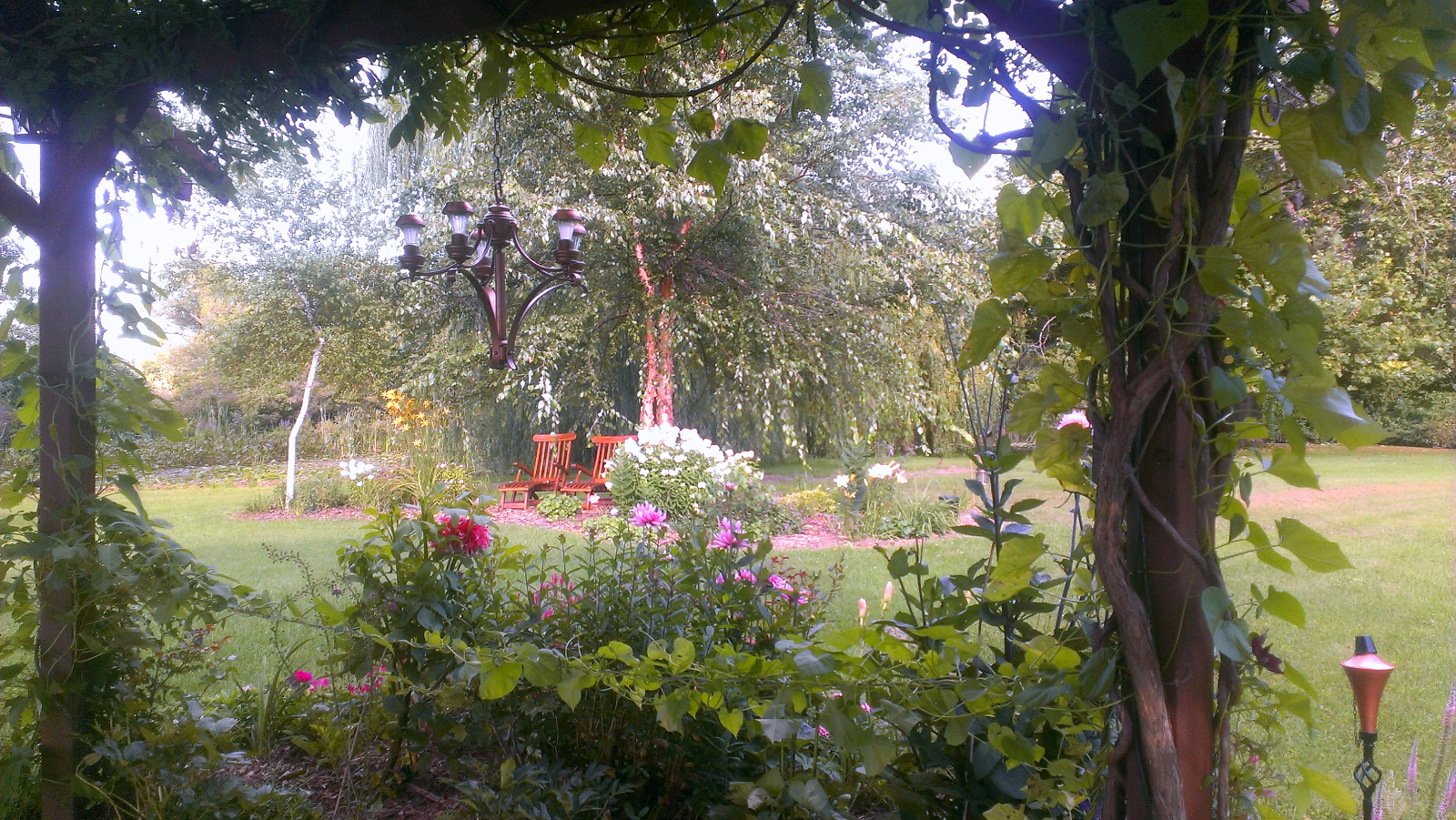 Looking out from under the Flowering Gazebo canopy